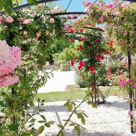 Gite En Provence Lavande Modene 외부 사진