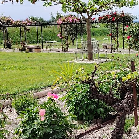 Gite En Provence Lavande Modene 외부 사진