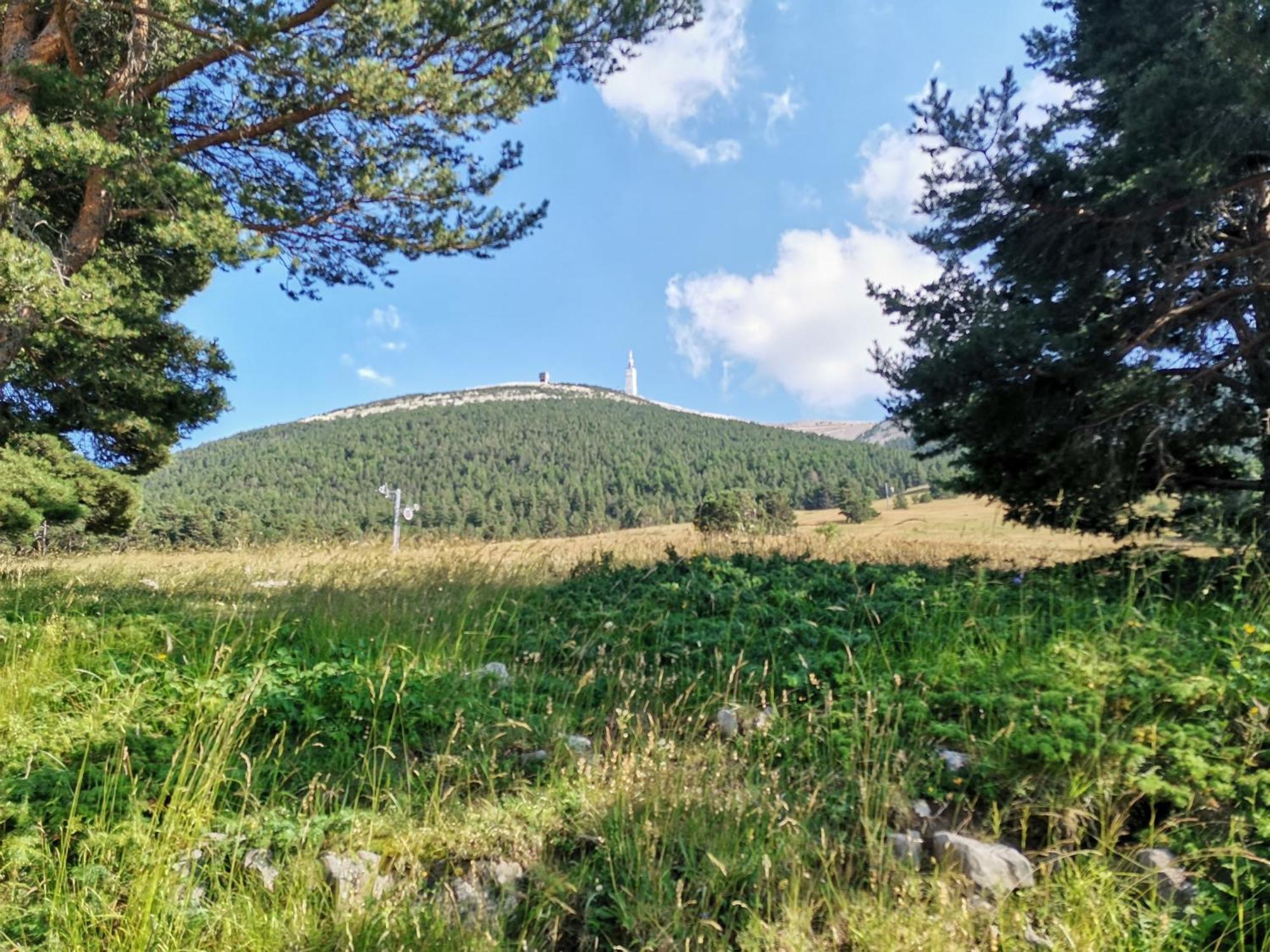 Gite En Provence Lavande Modene 외부 사진
