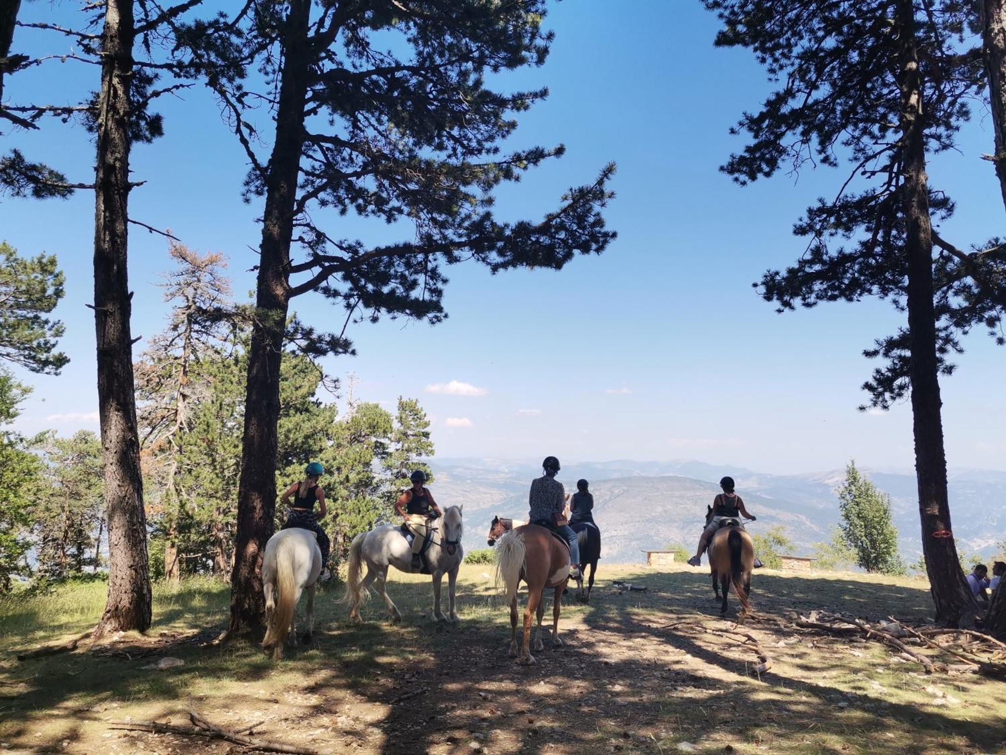 Gite En Provence Lavande Modene 외부 사진