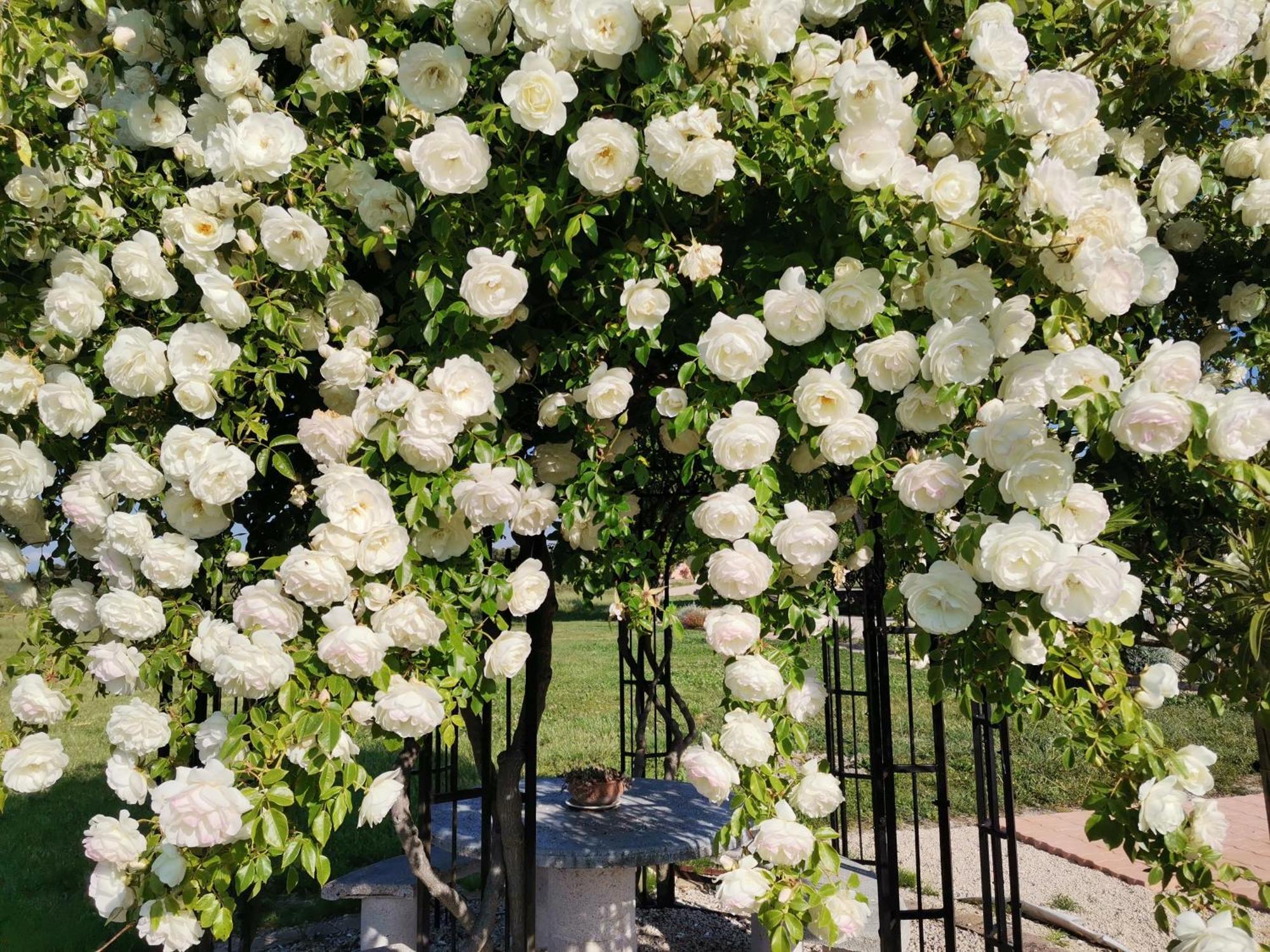 Gite En Provence Lavande Modene 외부 사진