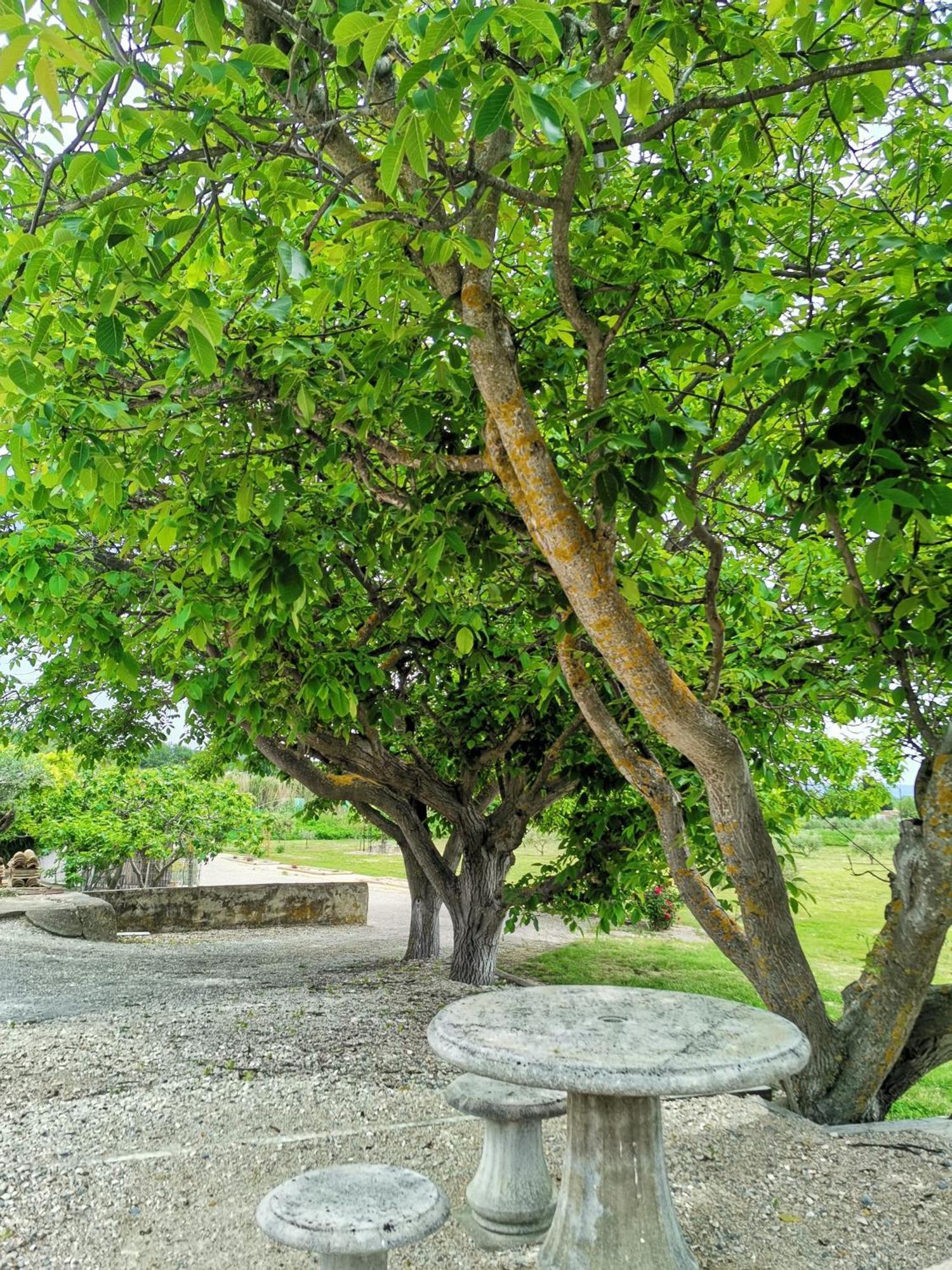 Gite En Provence Lavande Modene 외부 사진