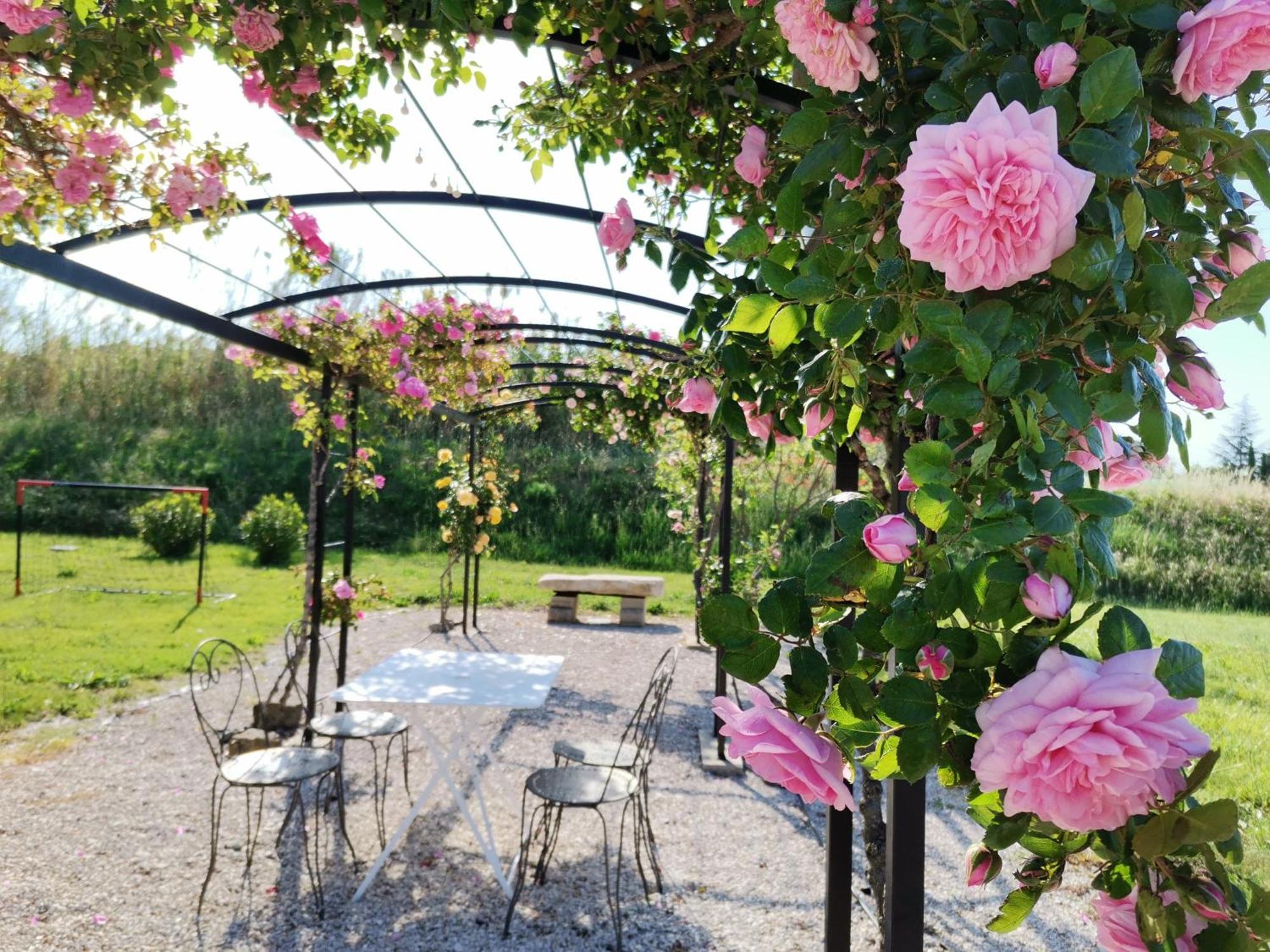 Gite En Provence Lavande Modene 외부 사진
