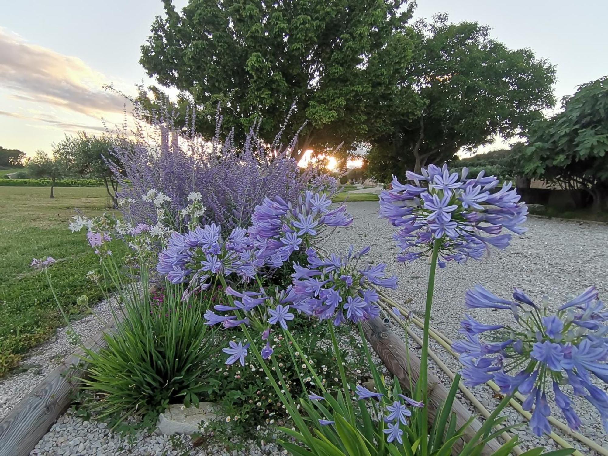Gite En Provence Lavande Modene 외부 사진