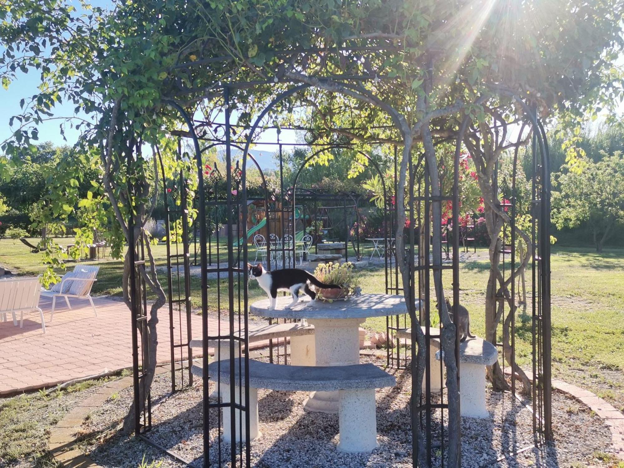 Gite En Provence Lavande Modene 외부 사진